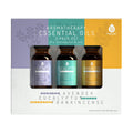 3 Pack Aromatherapy Essential oils (Lavender, Eucalyptus, Frankincense) - Inflight Essentials